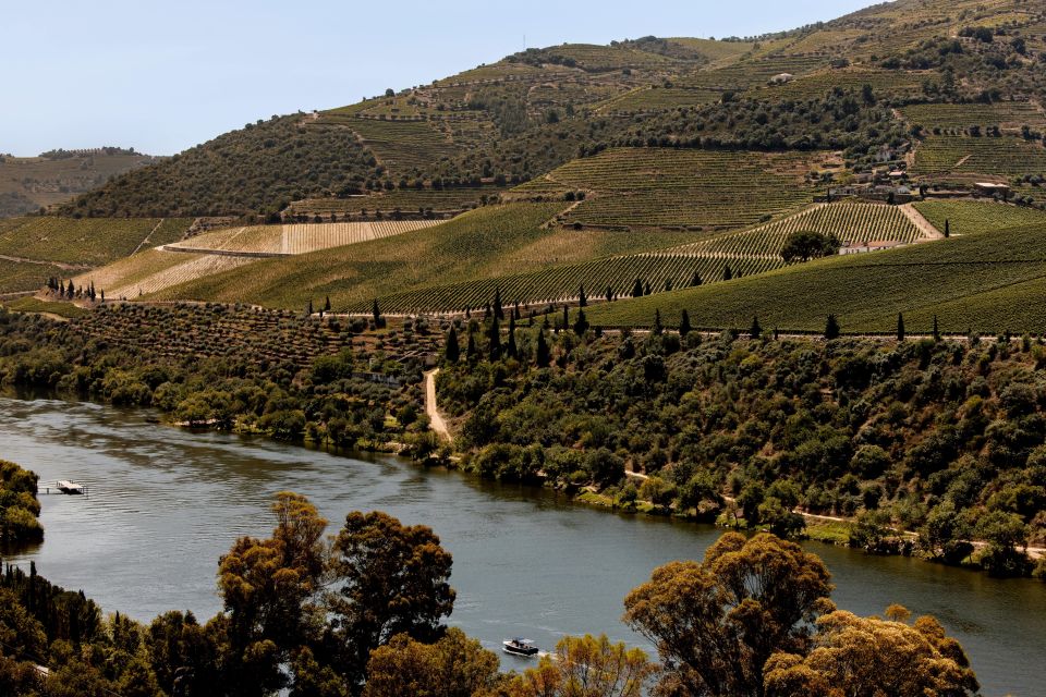 Pinhão: Douro River Boat Tour with Lunch - Who This Tour Fits Best (And Who Might Want a Different Style)