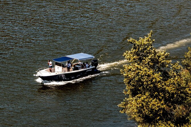 Pinhão: Douro River Cruise with Lunch Included - Where This Douro Day Starts: Pinhão’s Dock and Meeting Point