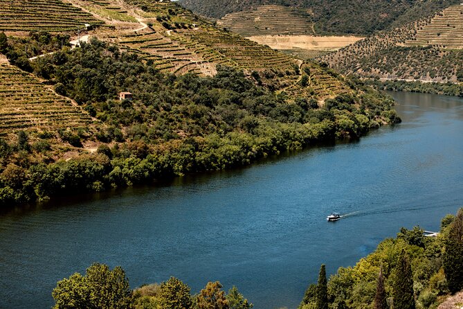 Pinhão: Douro River Cruise with Lunch Included - Timing Reality Check: 3 Hours Can Feel Tight (In a Good Way)