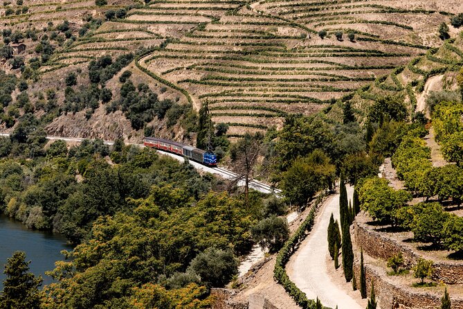 Pinhão: Douro River Cruise with Lunch Included - Wine on the Water: Port vs Sparkling and What It Means