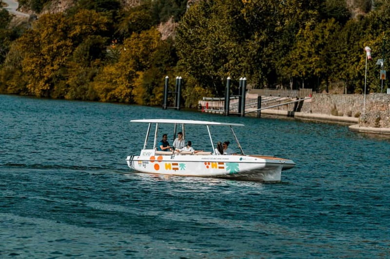Pinhão: Douro River Solar Boat Tour with Wine Tasting - Key highlights worth your attention