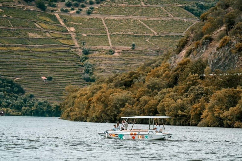 Pinhão: Douro River Solar Boat Tour with Wine Tasting - Price and value: what $23 buys on the Douro