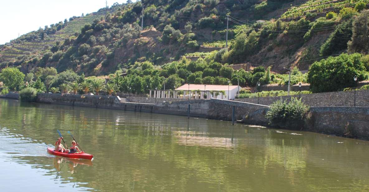 Pinhão: Douro Valley Rabelo Boat Tour and Kayak Experience - Kayak time: 12 km downstream through the oldest vineyard feel