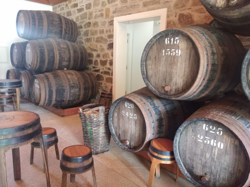 Pinhão: Douro Valley with Wine Tasting, Boat Trip and Lunch - Tips to make the day feel effortless