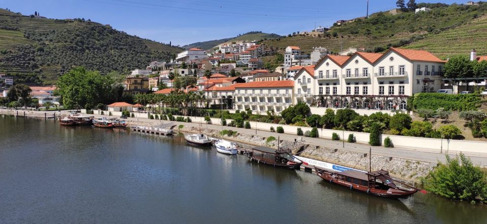 Pinhão: Douro Valley with Wine Tasting, Boat Trip and Lunch - Douro Valley from Pinhão: a full day with real variety