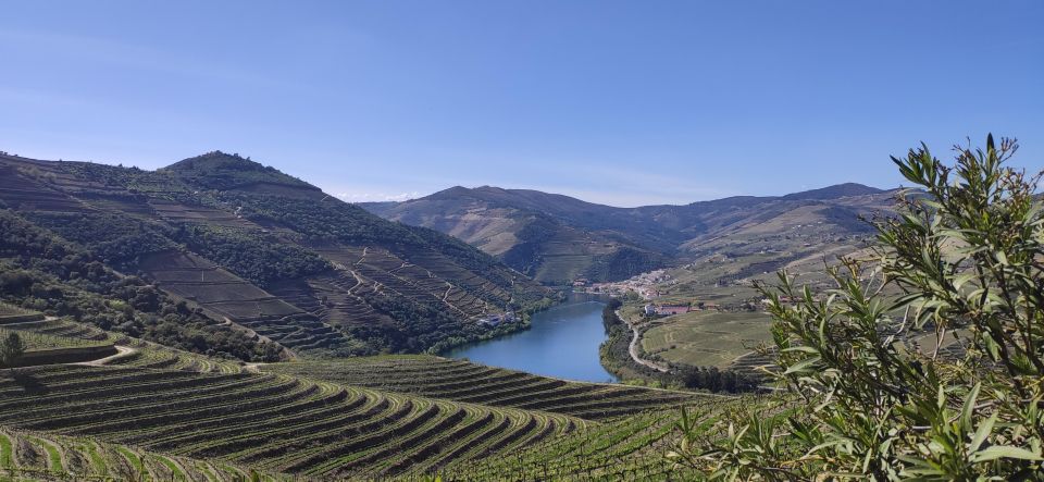 Pinhão: Douro Valley with Wine Tasting, Boat Trip and Lunch - The 50-minute Douro boat cruise: where the valley clicks