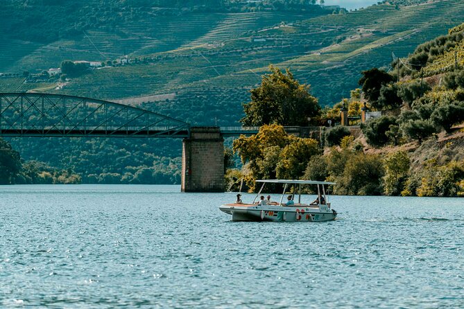 Pinhão: Electric Boat Experience 1h - Taste of Two Wines - Getting on board: small-group calm on a solar-powered boat