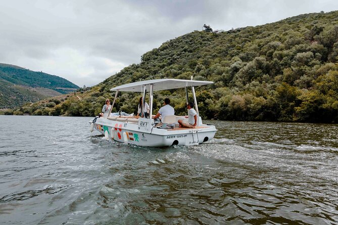 Pinhão: Electric Boat Experience 1h - Taste of Two Wines - Wine tasting onboard: two bottles, one included tasting plan