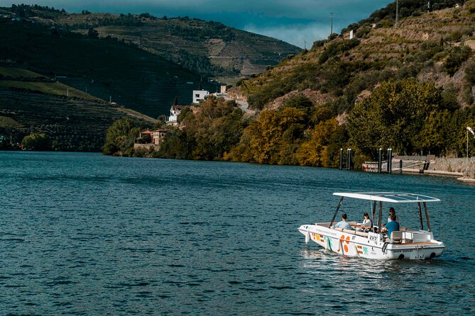 Pinhão: Electric Boat Experience 1h - Taste of Two Wines - Price and value: why $24.20 can feel like a deal