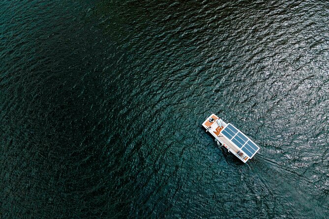Pinhão: Electric Boat Experience 1h - Taste of Two Wines - One hour on the Douro: what you’ll actually see from the river