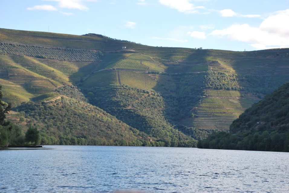 Pinhão: Private Rabelo Boat Tour along the River Douro - Who this tour suits best—and when to choose something else