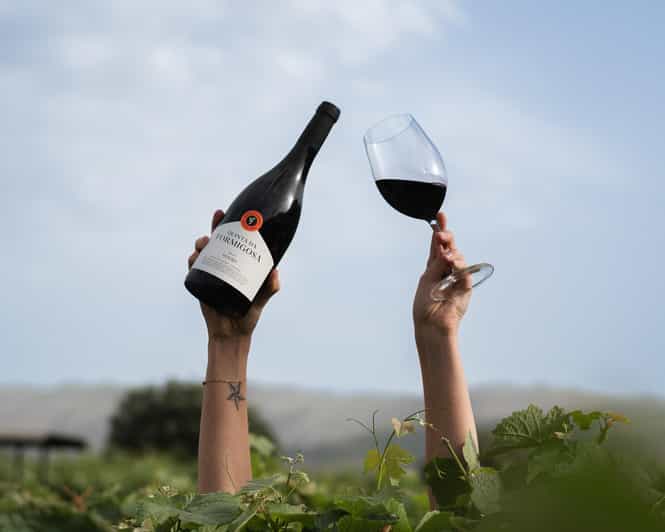 Pinhão: Quinta da Formigosa Vineyard Tour and Wine Tasting - Key points before you go