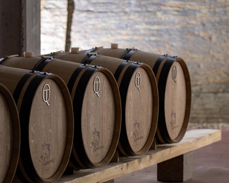 Pinhão: Quinta da Formigosa Vineyard Tour and Wine Tasting - The on-site grape detail that adds meaning to your tasting