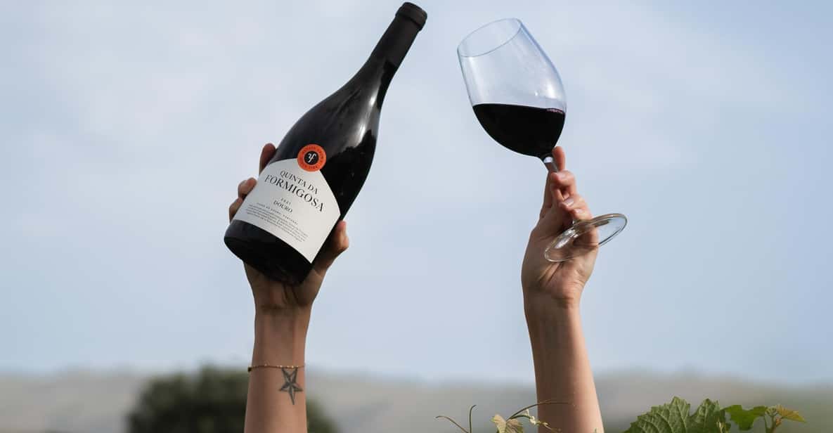 Pinhão: Quinta da Formigosa Vineyard Tour and Wine Tasting - Quinta da Formigosa, Covas do Douro: what kind of wine experience is this?