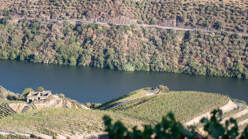Pinhão: Quinta da Formigosa Vineyard Tour and Wine Tasting - Meeting point: inside the tasting room