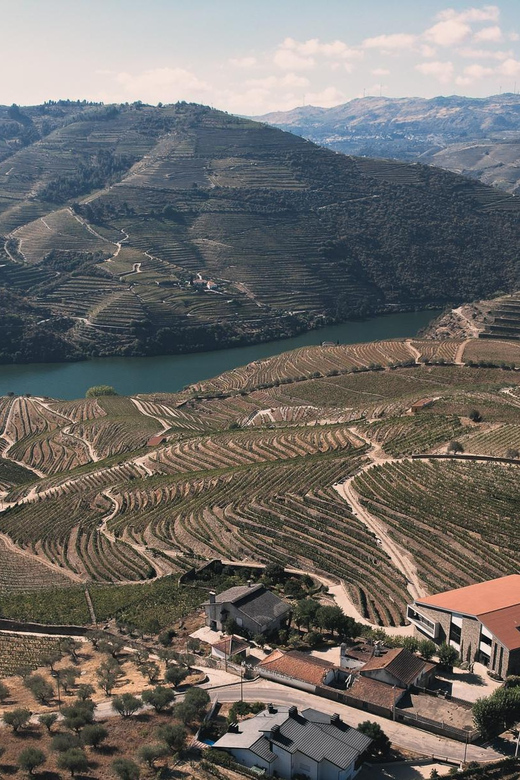 Pinhão: Quinta da Formigosa Vineyard Tour and Wine Tasting - Stop 1: the vineyard walk and photo-stop viewpoints (about 15 minutes)