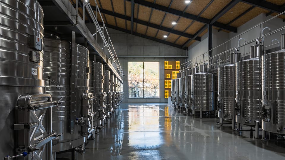 Pinhão: Quinta da Formigosa Vineyard Tour and Wine Tasting - Stop 2: the winery tour (about 30 minutes)