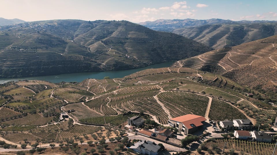 Pinhão: Quinta da Formigosa Vineyard Tour and Wine Tasting - Stop 3: the tasting room over the Douro River (about 45 minutes)