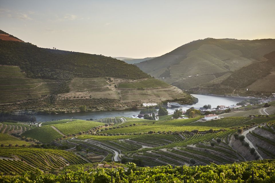 Pinhão: Quinta do Bomfim Visit and Tasting - The museum start: a simple way to understand what you’re about to taste