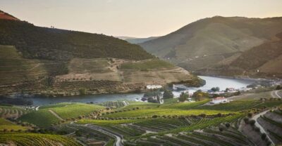 Pinhão: Quinta do Bomfim Visit and Tasting - Timing and meeting point: how the 1 to 1.5 hour experience works on the ground