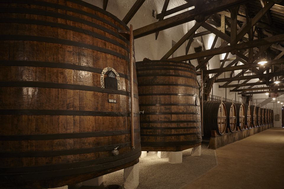 Pinhão: Quinta do Bomfim Visit and Tasting - Terrace tasting choices: how to pick the right flight for your palate