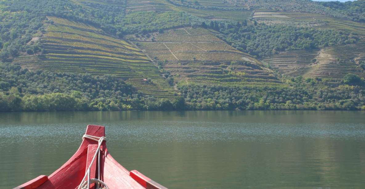 Pinhão: Rabelo Boat 1-Hour Tour - Booking Value: why $17 feels like a smart use of time