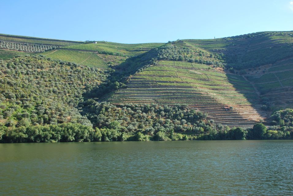 Pinhão: Rabelo Boat 1-Hour Tour - Getting to the pier: find Magnifico Douro near the iron bridge
