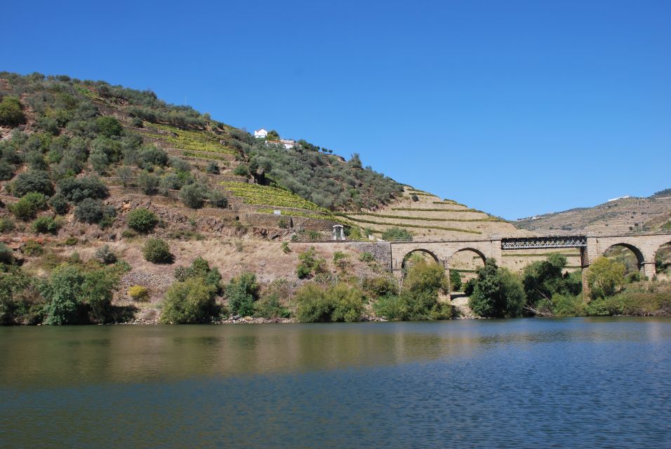 Pinhão: Rabelo Boat 1-Hour Tour - Quinta do Bomfim and Quinta da Roeda: spotting estates as patterns, not just names