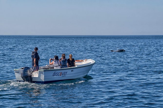 Ponta da Piedade Boat Tour to Caves and Beaches with Local Guide - The Coastline Passes: Batata, Pinhão, D. Ana, Camilo and Golden Beaches