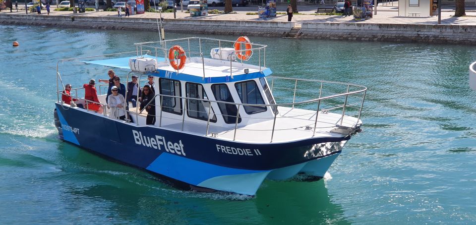 Ponta da Piedade: Half-Day Cruise with Lunch from Lagos - Ponta da Piedade cliffs look better when you’re moving