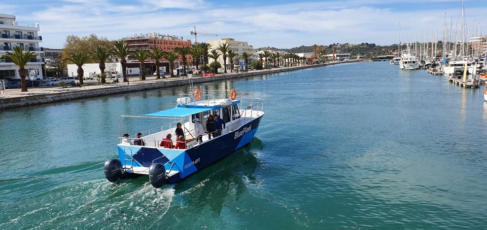 Ponta da Piedade: Half-Day Cruise with Lunch from Lagos - Who this cruise is best for (and who should skip it)