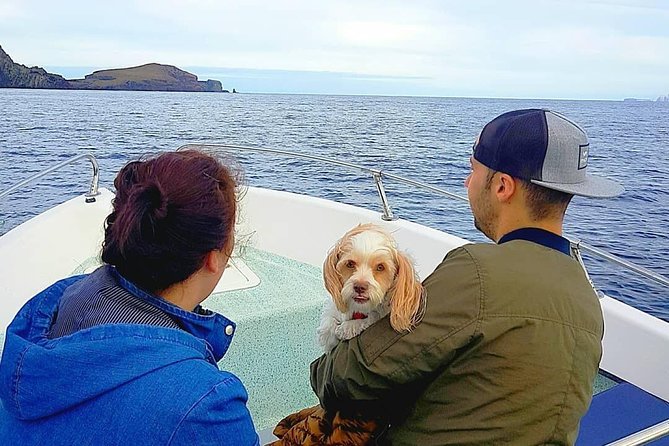 Ponta de São Lourenço Boat Tour - What’s Included On the Water: Marine Life Talk and Photo Stops