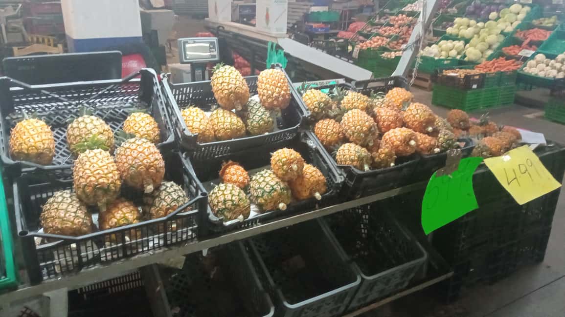 Ponta Delgada: Fat Dolphin Food Tours - Practical notes that can save you a headache