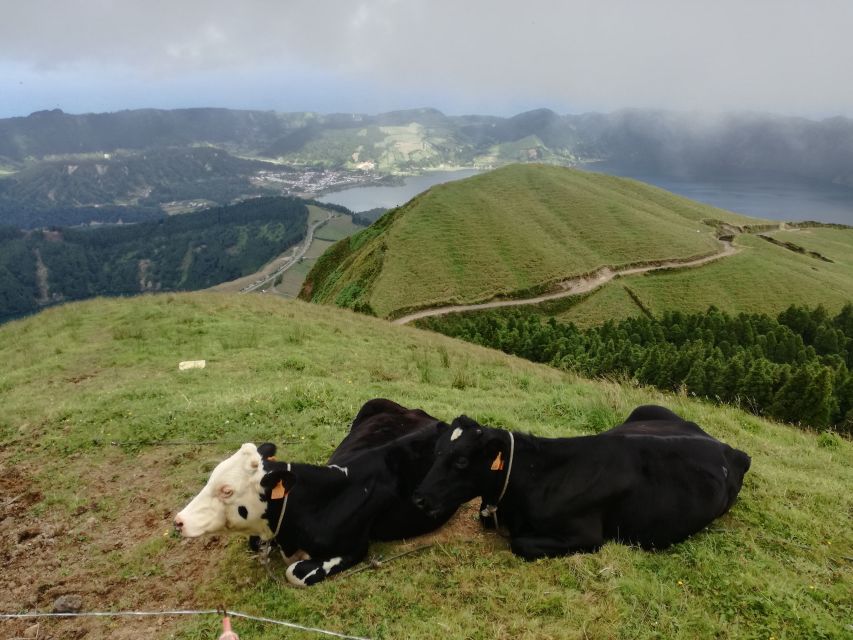 Ponta Delgada: Full-Day Sete Cidades 4X4 Tour with Lunch - What to bring for a muddy-rim day in the Azores