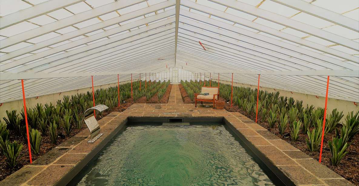 Ponta Delgada: Greenhouse Hot Tube with Pineapple Tour - Pineapple Greenhouse Spa in Ponta Delgada: The Idea That Works
