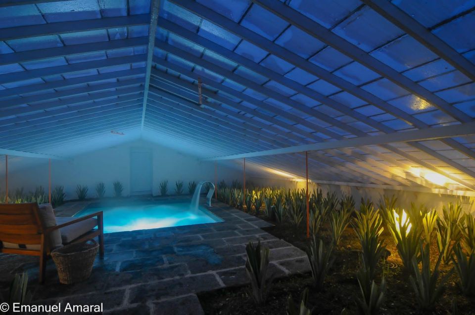 Ponta Delgada: Greenhouse Hot Tube with Pineapple Tour - Inside the Greenhouse Hot Tube: Why 36°C Feels Like a Life Upgrade