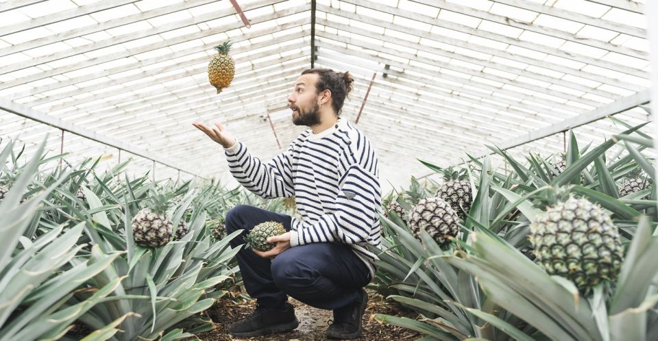 Ponta Delgada: Pineapple wine tasting and pineapple tour - Unlimited garden time: turn the tasting into an unhurried hour