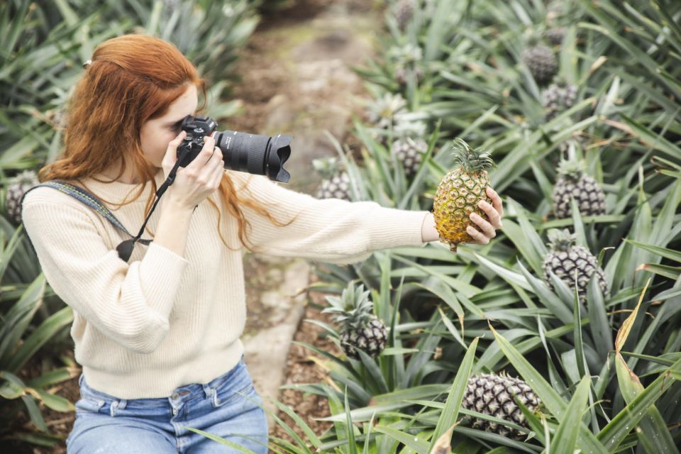Ponta Delgada: Pineapple wine tasting and pineapple tour - Pineapple wine tasting in the gardens: sweet, funky, and very real