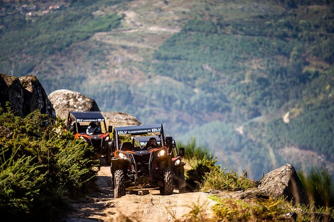 Ponte de Lima Guided Buggy Tour - Key things to know before you go