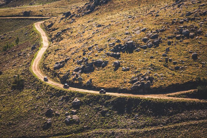 Ponte de Lima Guided Buggy Tour - The Route Highlights: Ponte de Lima Stop for Views and Photos