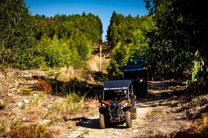Ponte de Lima Guided Buggy Tour - Price and Value: $181.02 for Up to 2 People