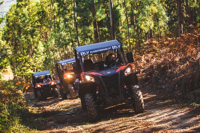 Ponte de Lima Guided Buggy Tour - Where You’ll Meet and How to Prepare
