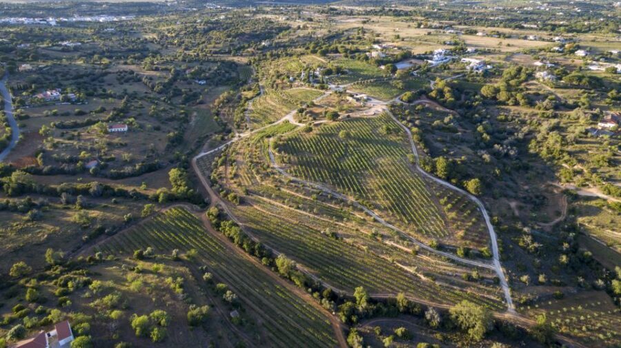 Porches: Algarve Vineyard Tour and Wine Tasting Experience - Quinta dos Capinhas: A Family Vineyard Between Ocean and Mountains