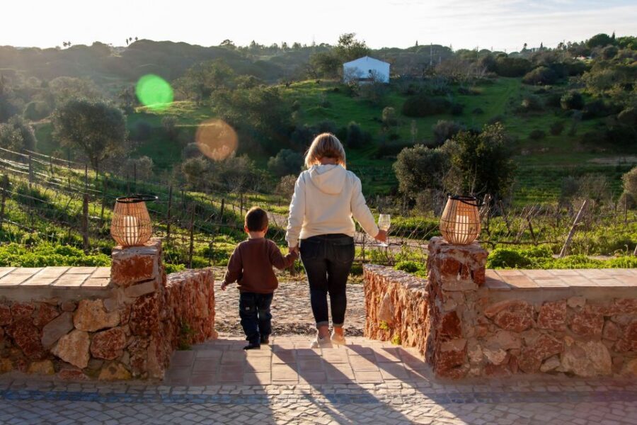 Porches: Algarve Vineyard Tour and Wine Tasting Experience - Should You Book Quinta dos Capinhas in the Algarve?