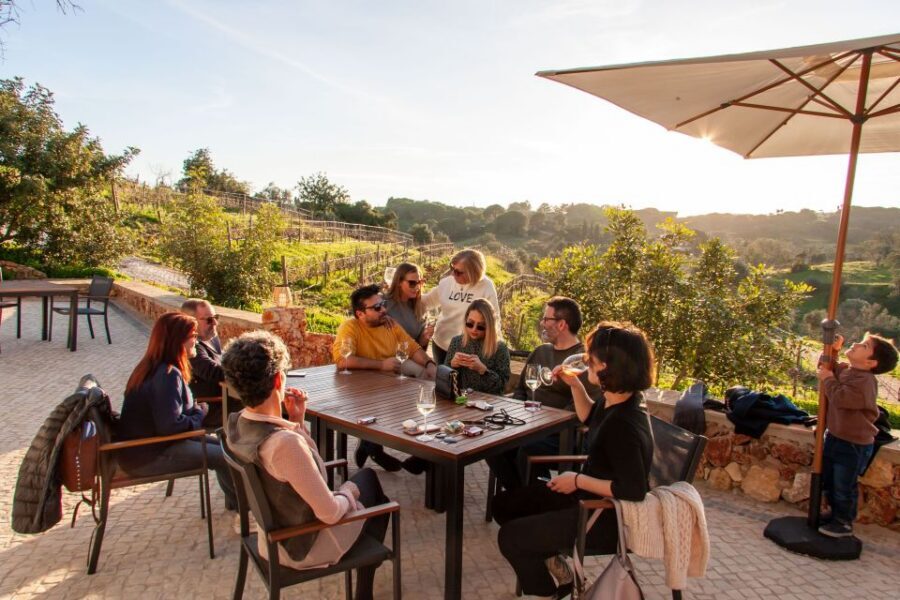 Porches: Algarve Vineyard Tour and Wine Tasting Experience - The 1.5-Hour Rhythm: Welcome, Four Wines, Tapas, Then a Scenic Walk