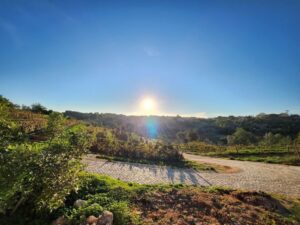 Porches: Algarve Vineyard Tour and Wine Tasting Experience - What’s Included: Your Four Quinta dos Capinhas Wines With Tapas