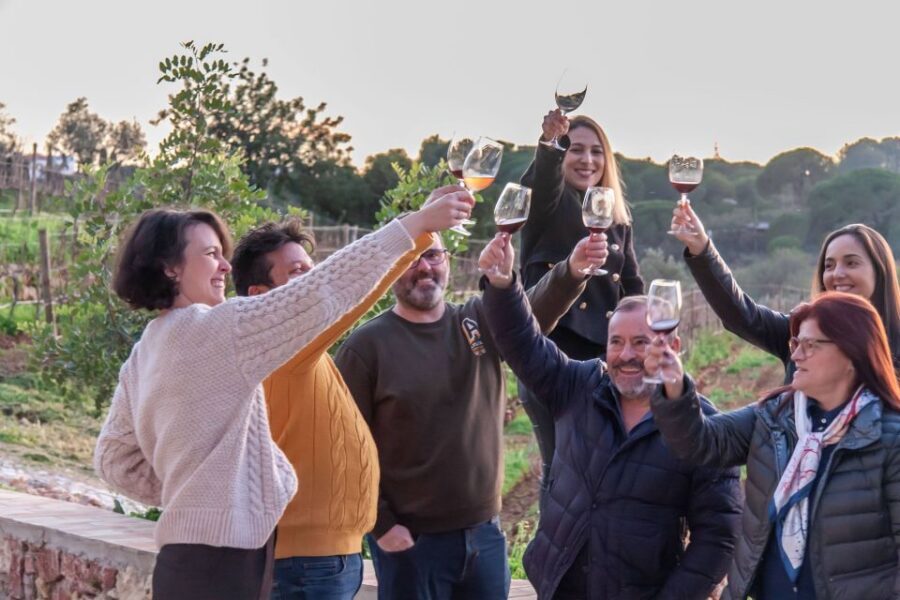 Porches: Algarve Vineyard Tour and Wine Tasting Experience - Vineyard Views + Tapas Pairings: The Part You’ll Remember