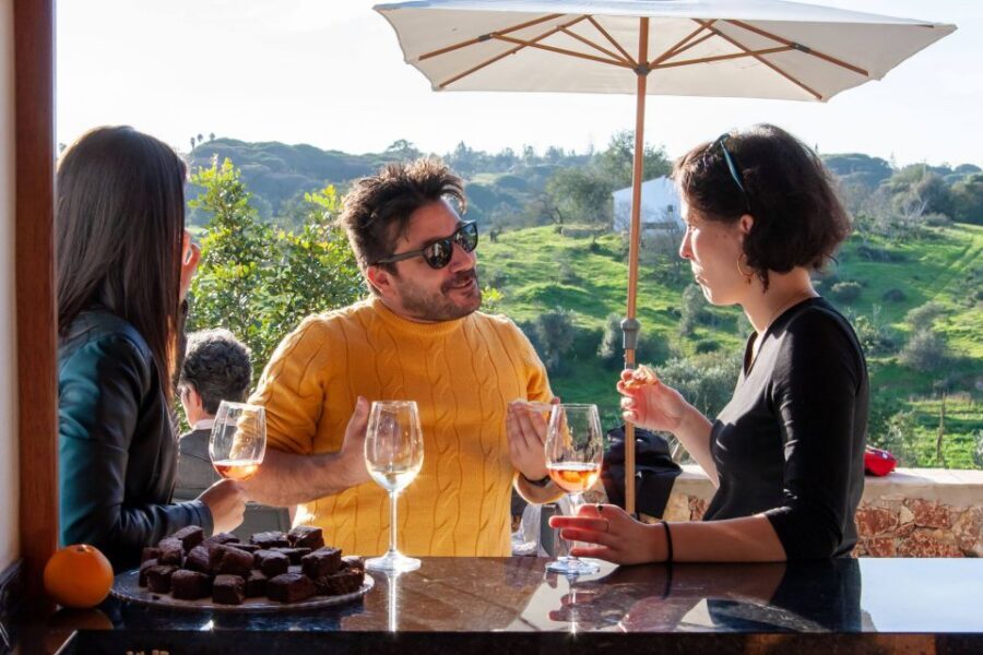 Porches: Algarve Vineyard Tour and Wine Tasting Experience - The Short Walking Tour: What to Wear and What Photos to Aim For