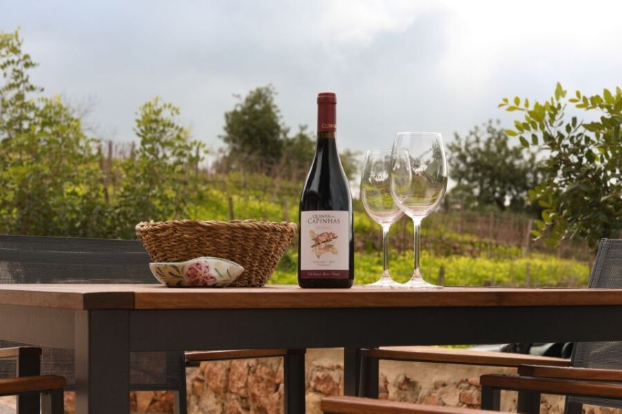 Porches: Algarve Vineyard Tour and Wine Tasting Experience - Getting There Near Albufeira and Portimão (Without Hotel Pickup)