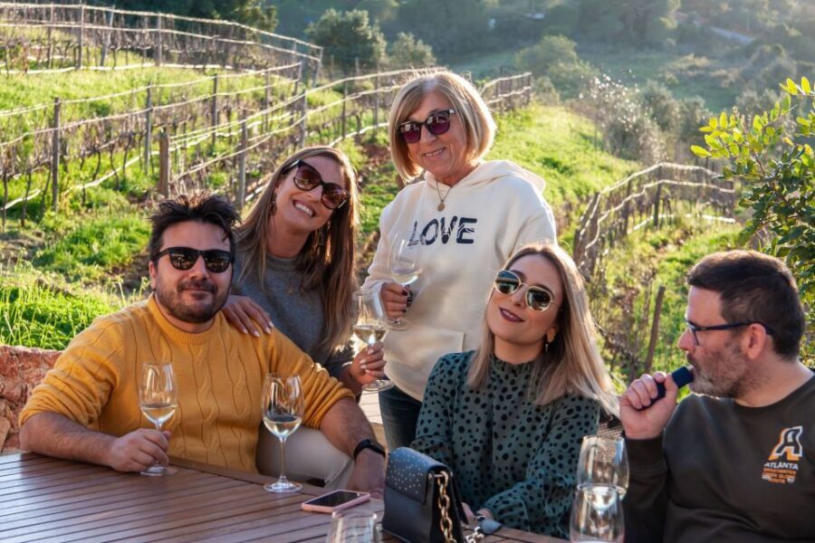 Porches: Algarve Vineyard Tour and Wine Tasting Experience - Who This Tour Fits Best (And Who Might Skip It)